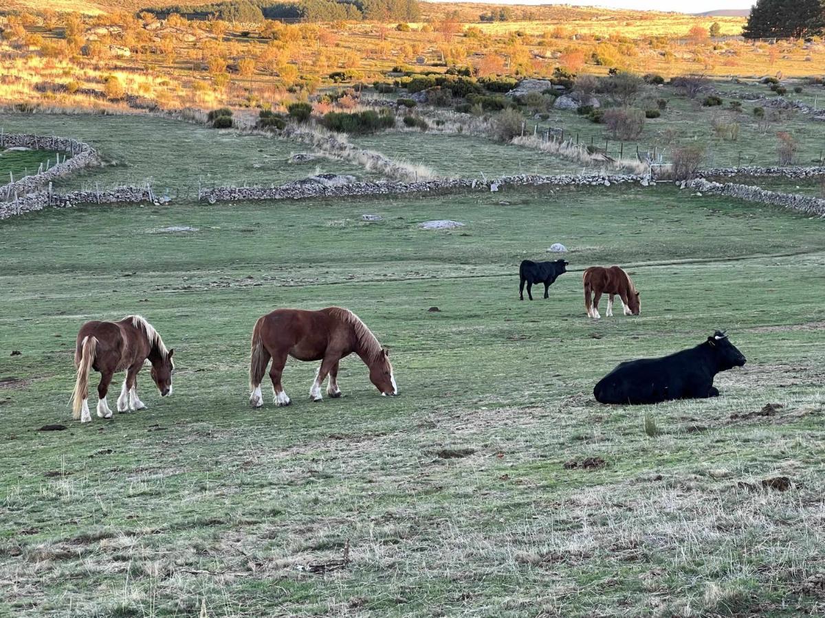 Ferienwohnung La Nava De Gredos Acogedor Piso Con Vistas Navarredonda Exterior foto